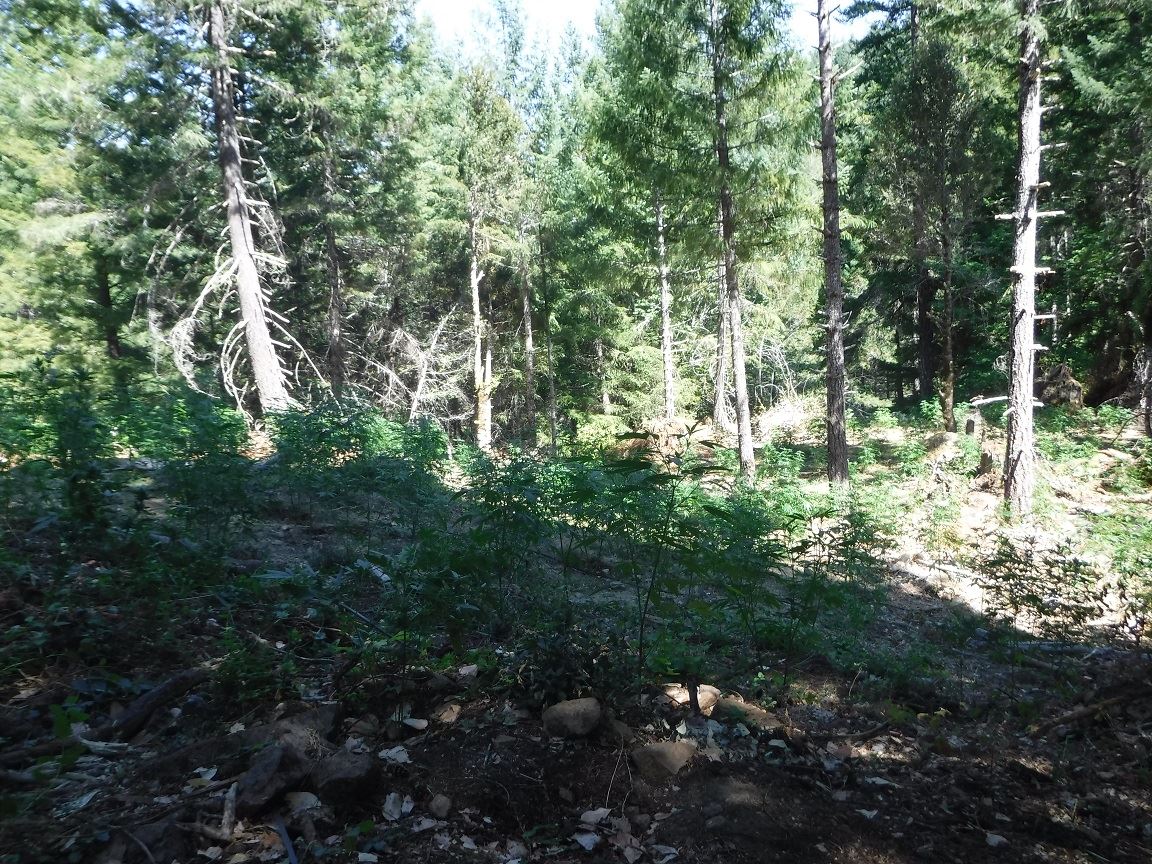 Search Warrant - Case 201603973